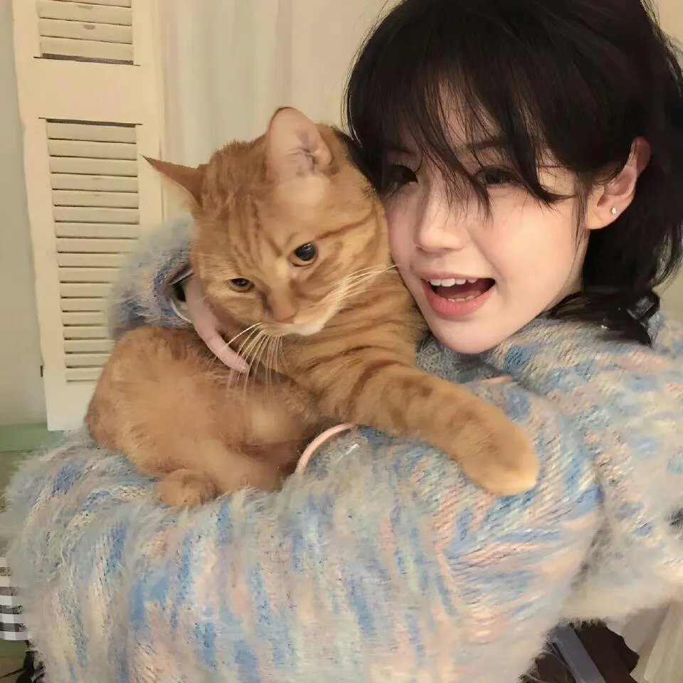 黑帮大佬和我的365日